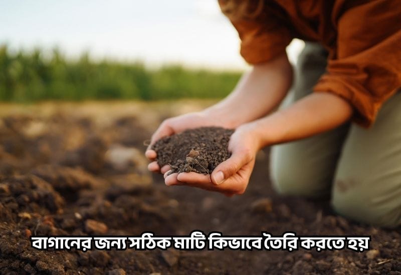 বাগানের জন্য সঠিক মাটি কিভাবে তৈরি করা যায় | সঠিক গাইড লাইন
