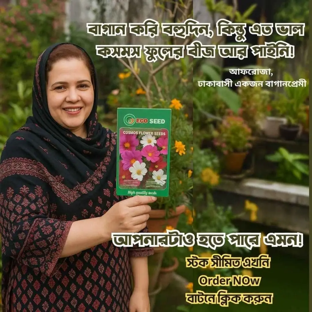 কসমস-ফুলের-বিজ
