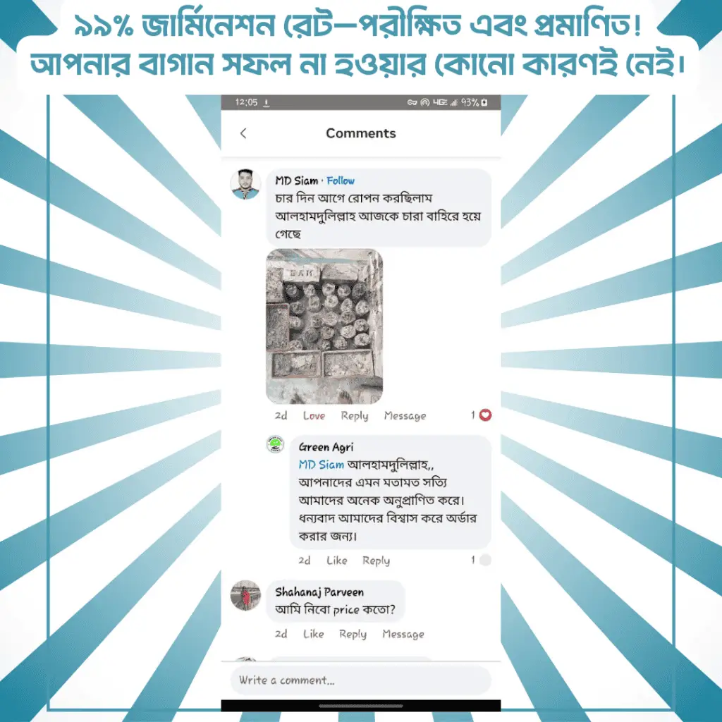 cosmos-flower-seeds (1)